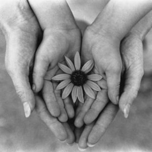 mains fleurs